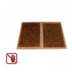 Placa adeziva soareci - TOP 09 (2 buc)